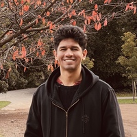 Carlos Octavio Graffi